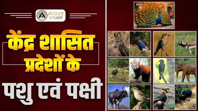 Major animals and birds of the union territories of india. Jpg