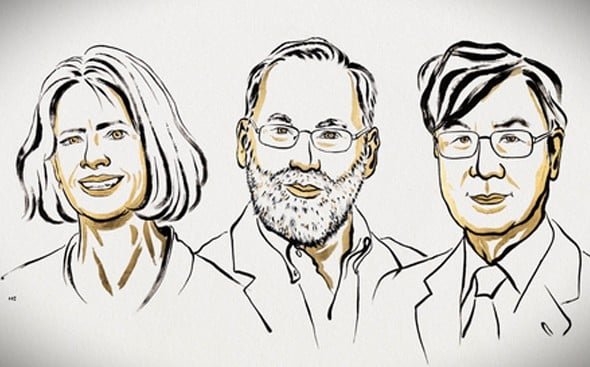 The 2025 nobel prize was awarded to brunkov rexdale and sakaguchi in the field of medicine