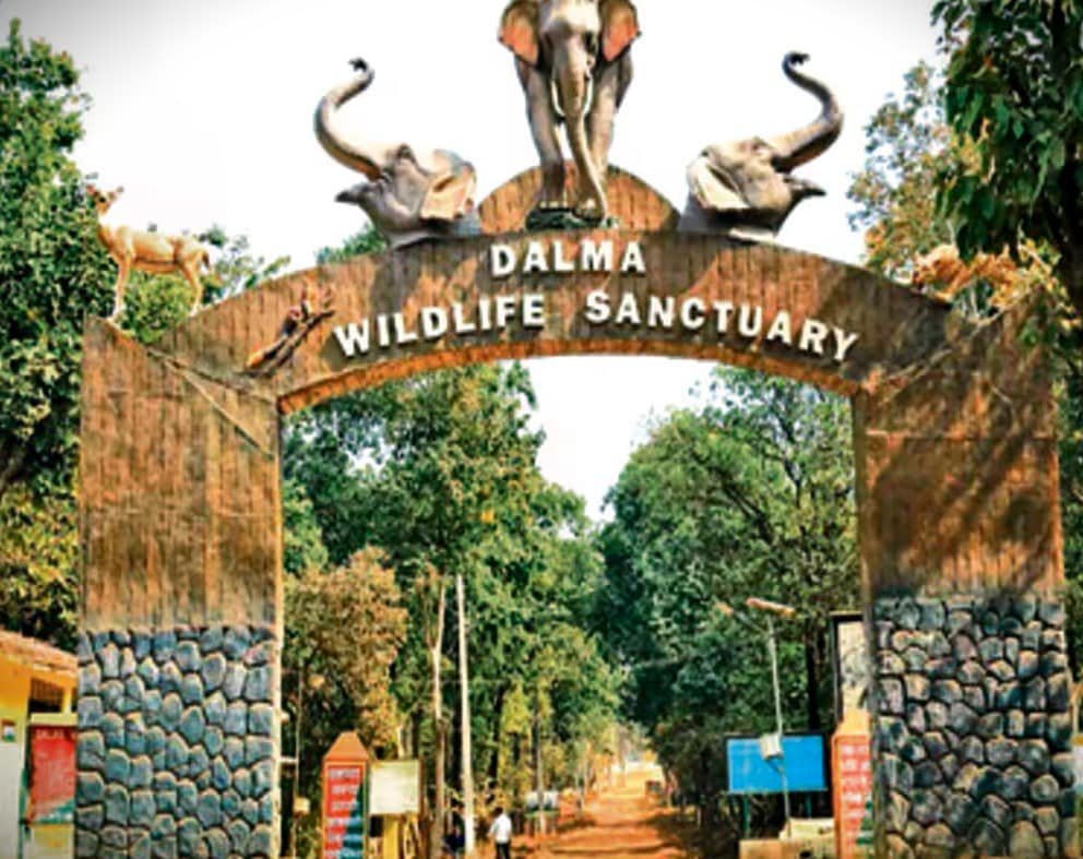 The south asian athletics championship 2025 will be held in ranchi jharkhand