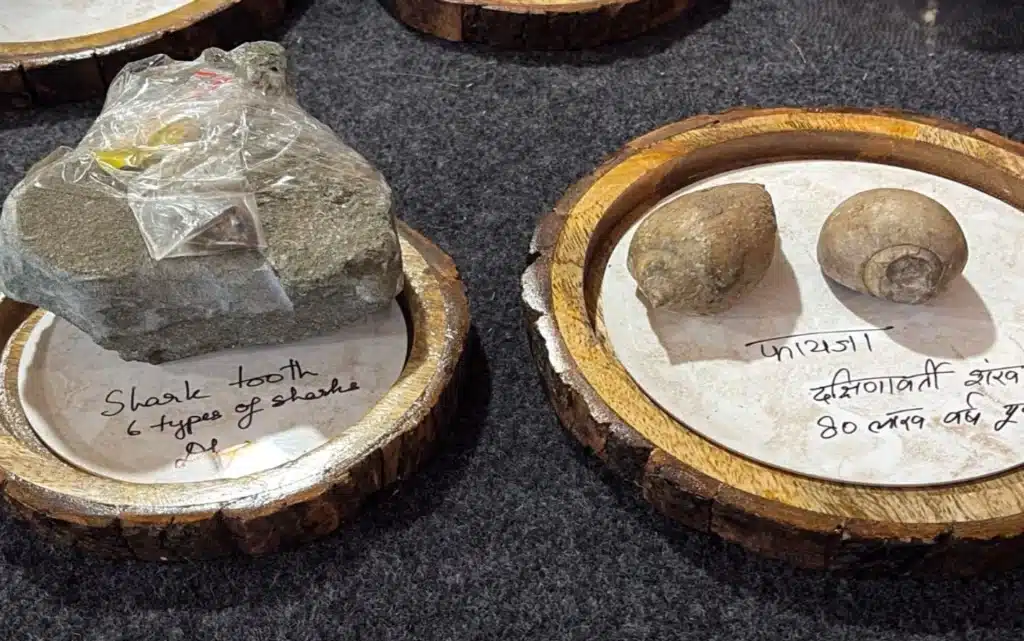 08 November 2025 Current Affairs 9 A 6. 5 crore year old triceratops dinosaur fossil was found in saharanpur