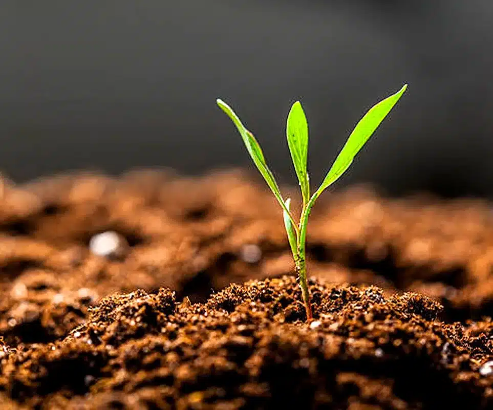 05 December 2025 Current Affairs 5 World soil day